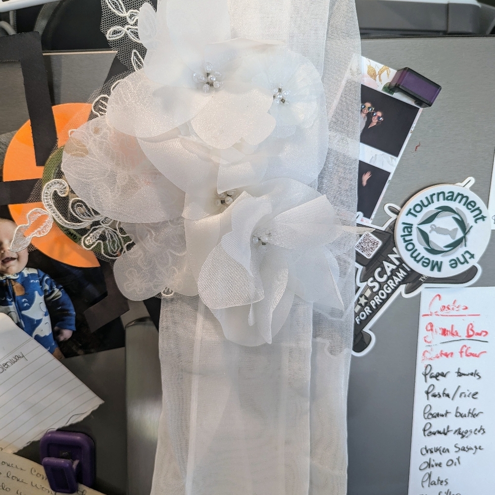 Vera Wang Wedding Dress - Picture 6 of 9